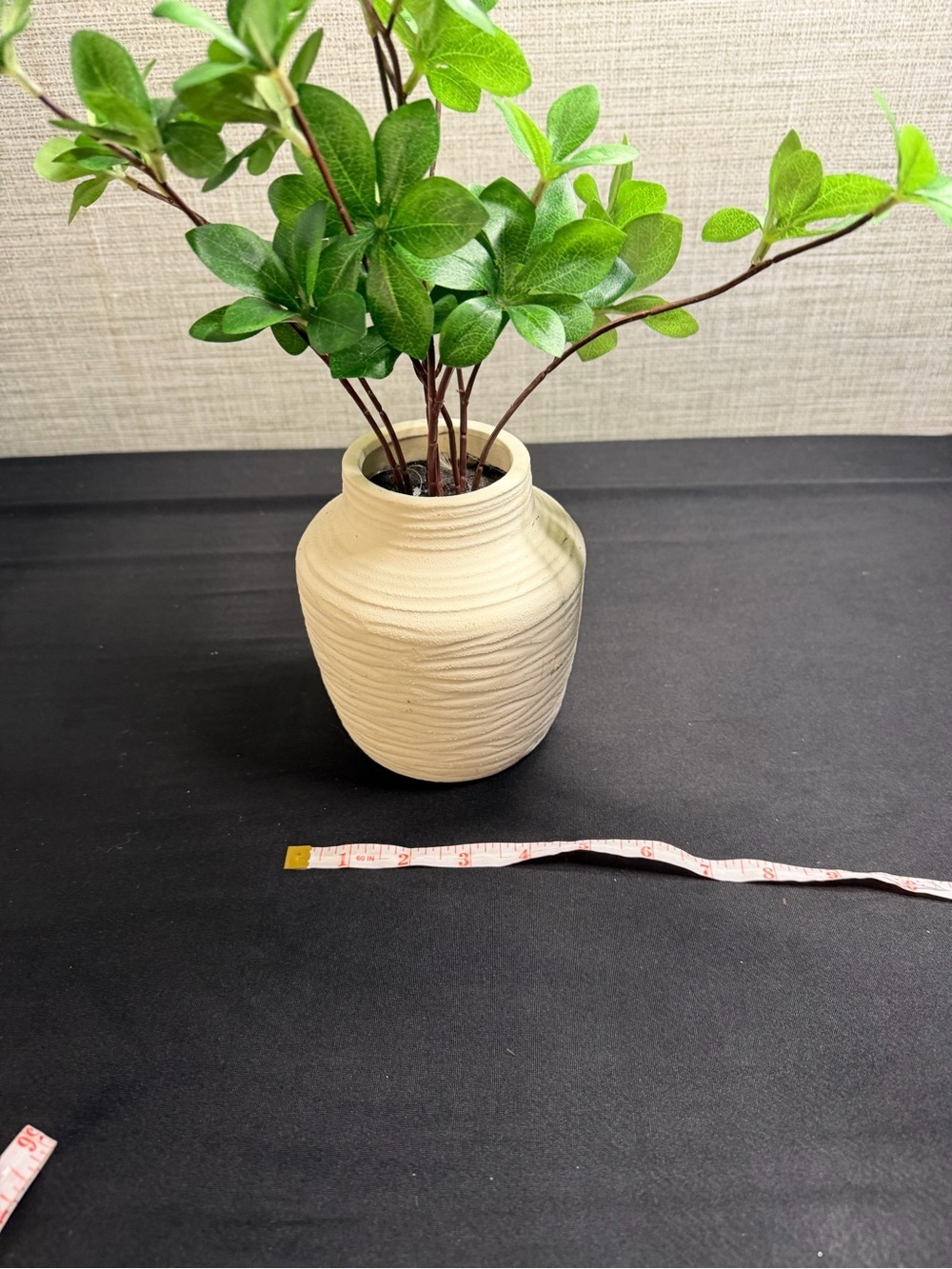 Hobby Lobby Cream Textured Ceramic Vase with Green Stems